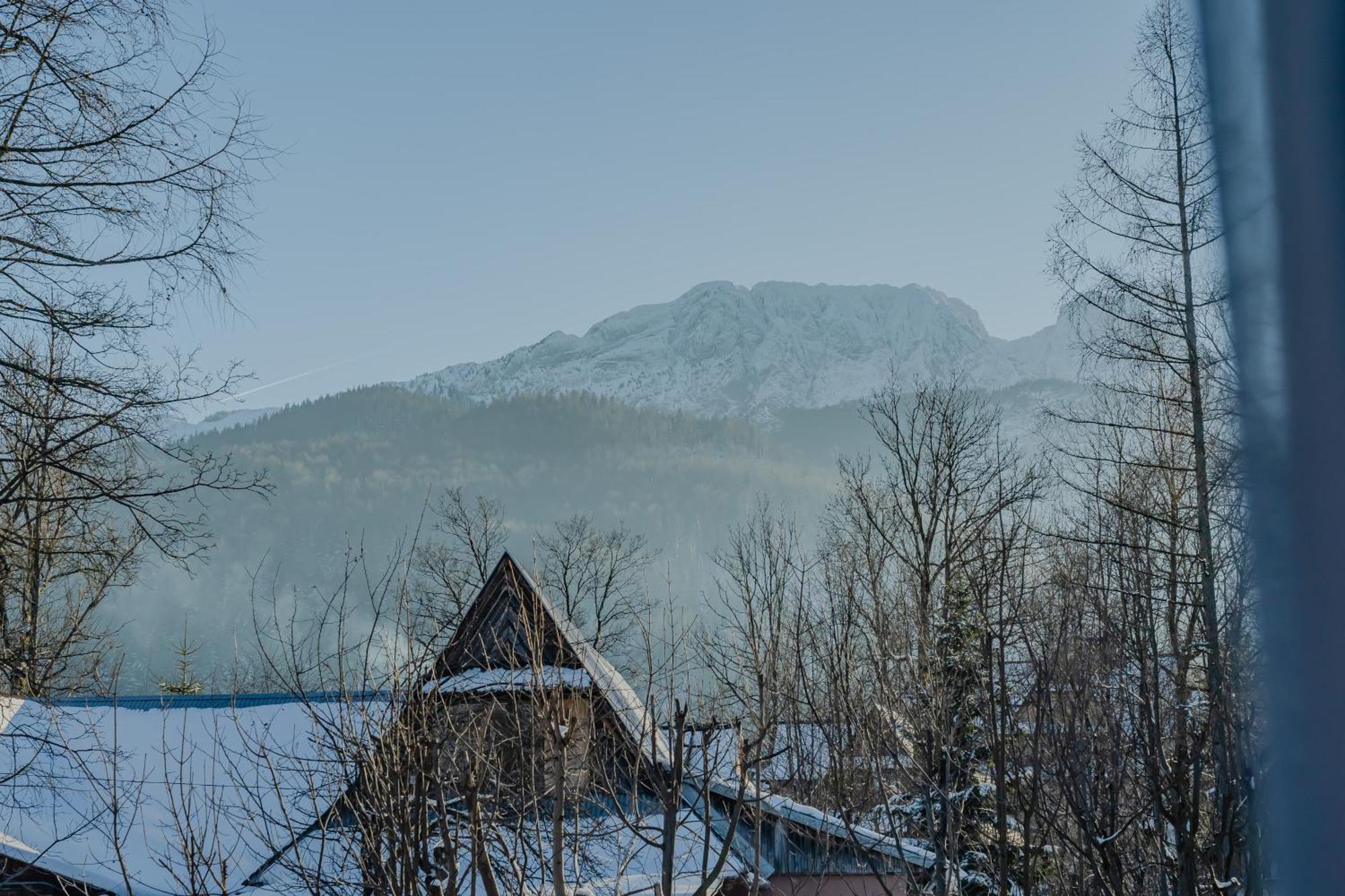 Strazyska 7 Apartman Zakopane Kültér fotó