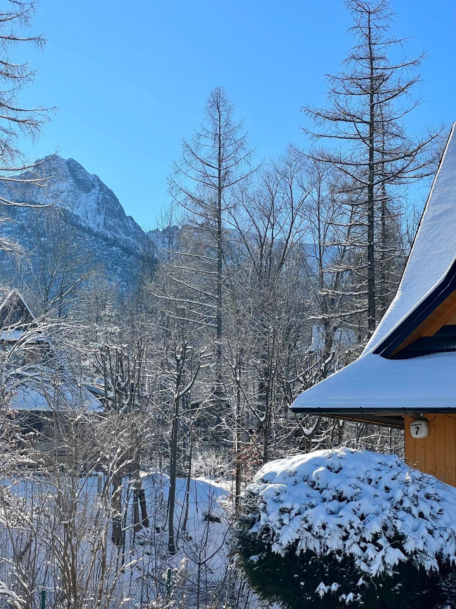 Strazyska 7 Apartman Zakopane Kültér fotó